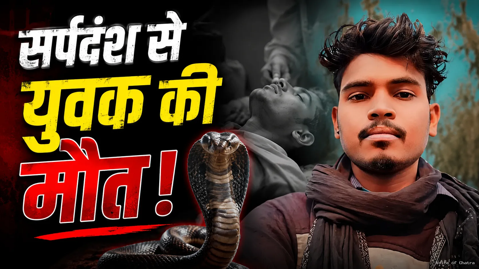 नींद में युवक को सांप ने डंसा, इलाज के दौरान नहीं बची जान; पसरा मातम